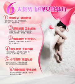 健康咨询服务的价值 专业指导与个性化关怀